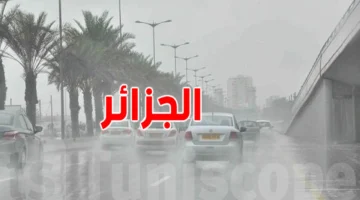عاصفة تضرب الجزائر.. قرارات عاجلة بتعليق الدراسة والرحلات والنشاط الرياضي بمختلف الولايات